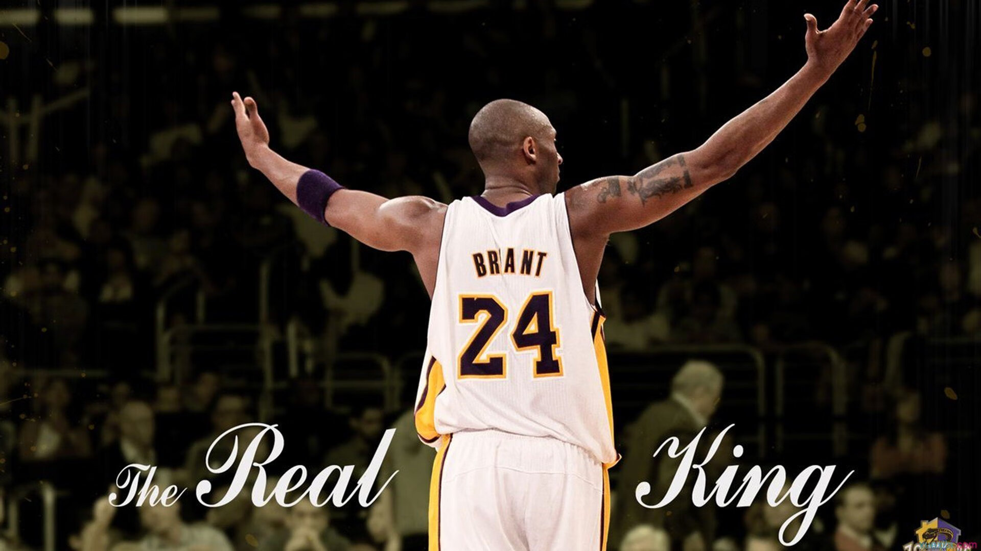 人队全面崛起,稳坐东部第一宝座,ren队